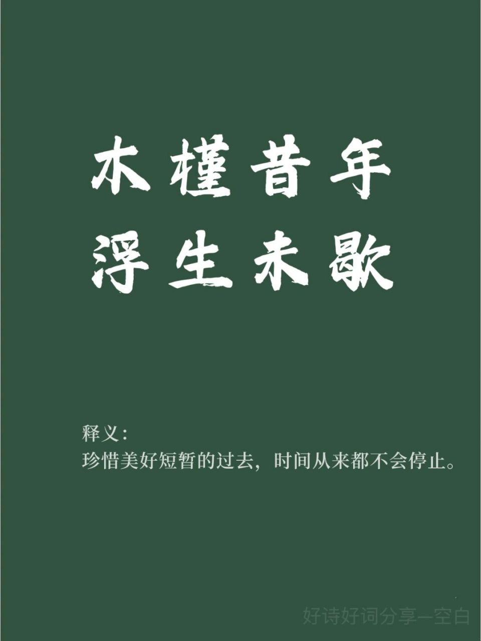 🌵让人惊艳的好词好句/木槿昔年 浮生未歇 🌵 "木槿" :木槿花,在