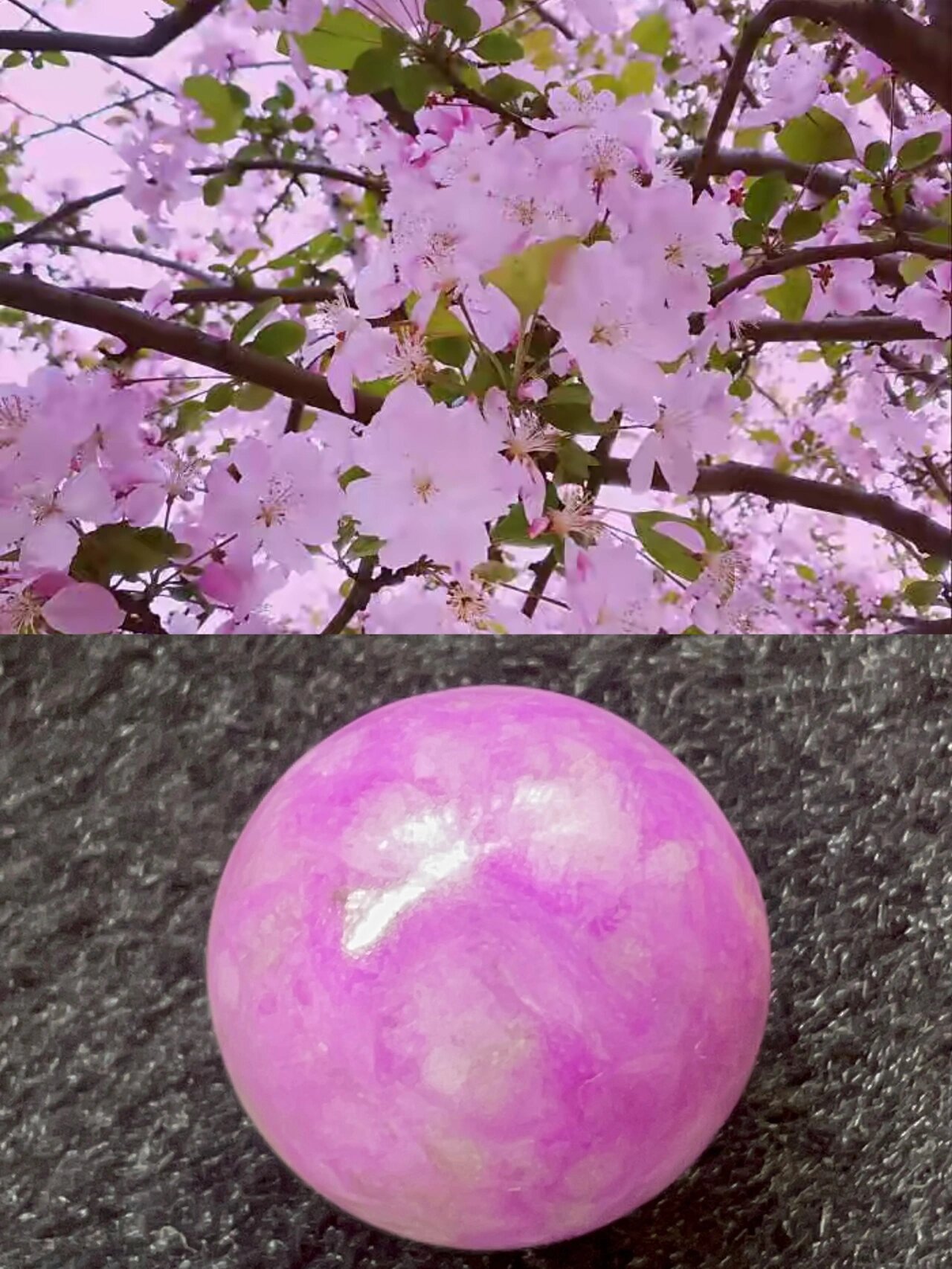 舒俱来樱花粉往往都带有黄绿色,因为这就是大自然的色彩缩影呀