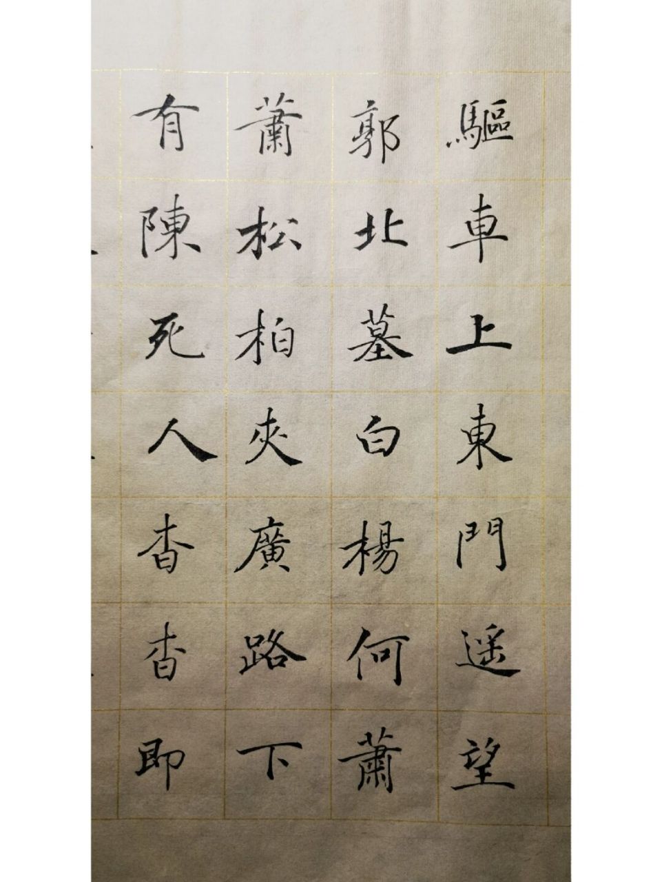 日课《驱车上东门》 #书法学习# #我的书法分享# #练字打卡# ##学习