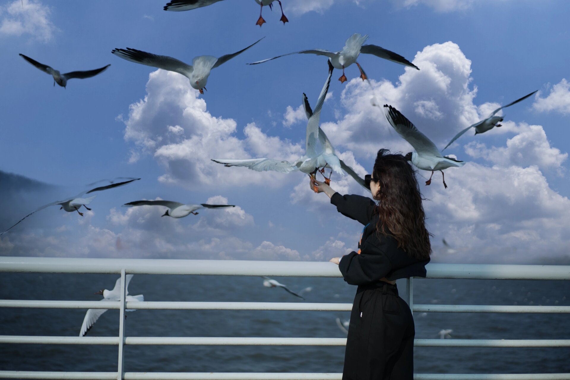 99海埂大坝 昆明知名海鸥观赏点之一,漫步这
