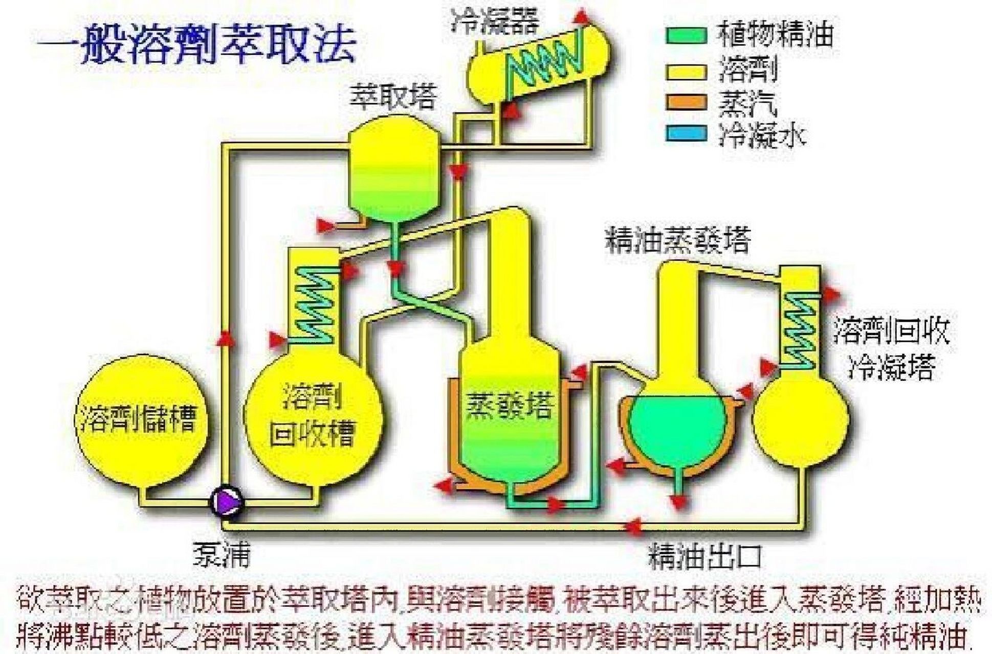 瞭解精油的萃取方式後,我們知道超臨界二氧化碳萃取法的精油十分好,但