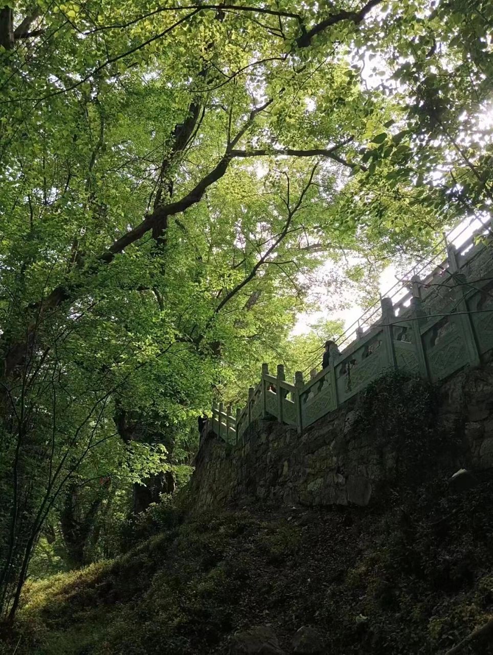 皇藏峪 #景点打卡