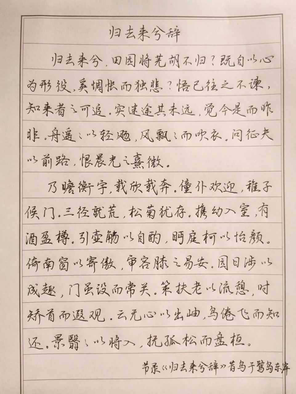 手写|如此篇章章法可以吗 抄《归去来兮辞》两段,0.5中性笔.