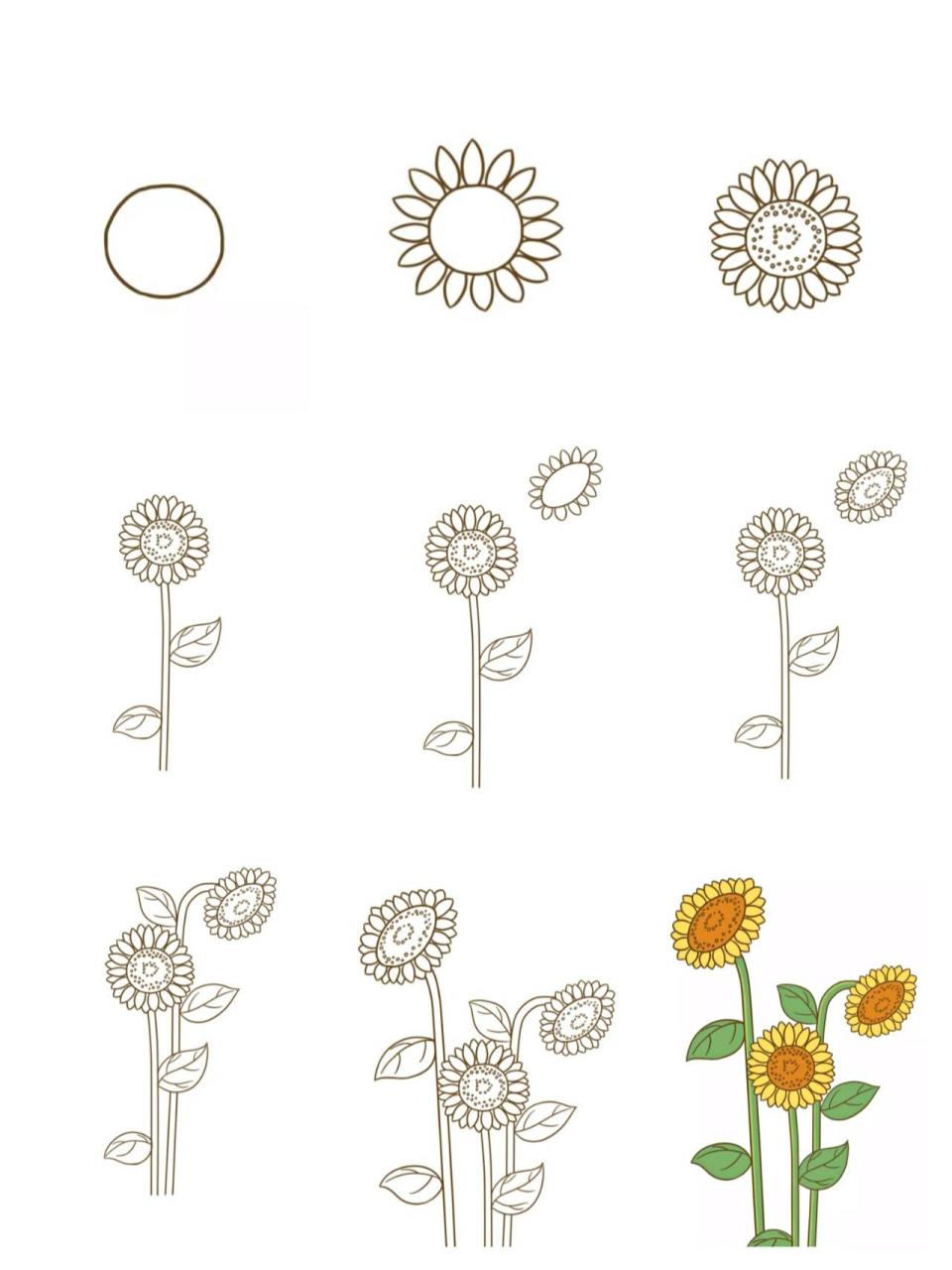 11种向日葵的画法步骤图片