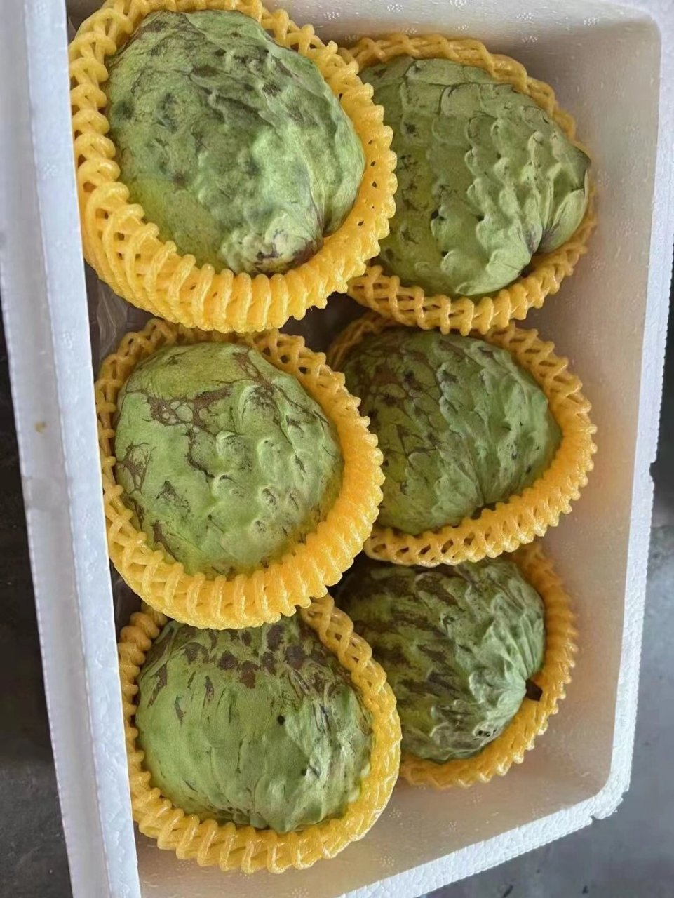 牛奶释迦 【牛奶释迦果】 肉乳白色,富含维生素a,b,c及蛋白质,铁,钙