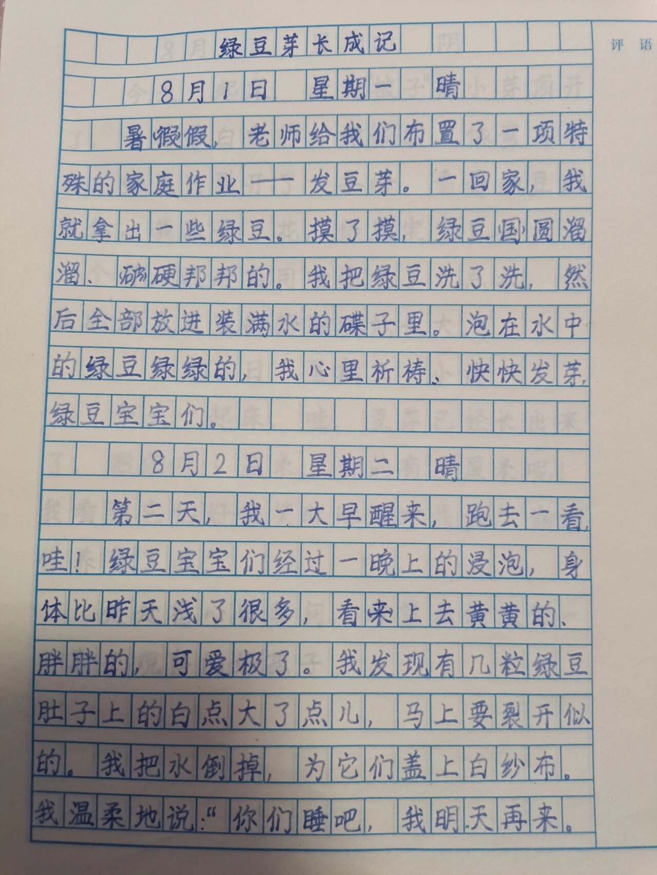 四年级日记200字观察图片