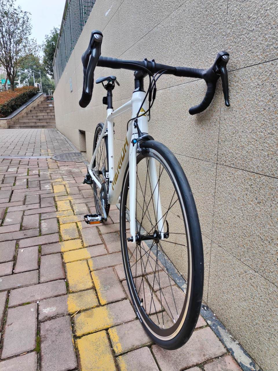 24款斯特拉king.全新涂装,性价比之选 骑行