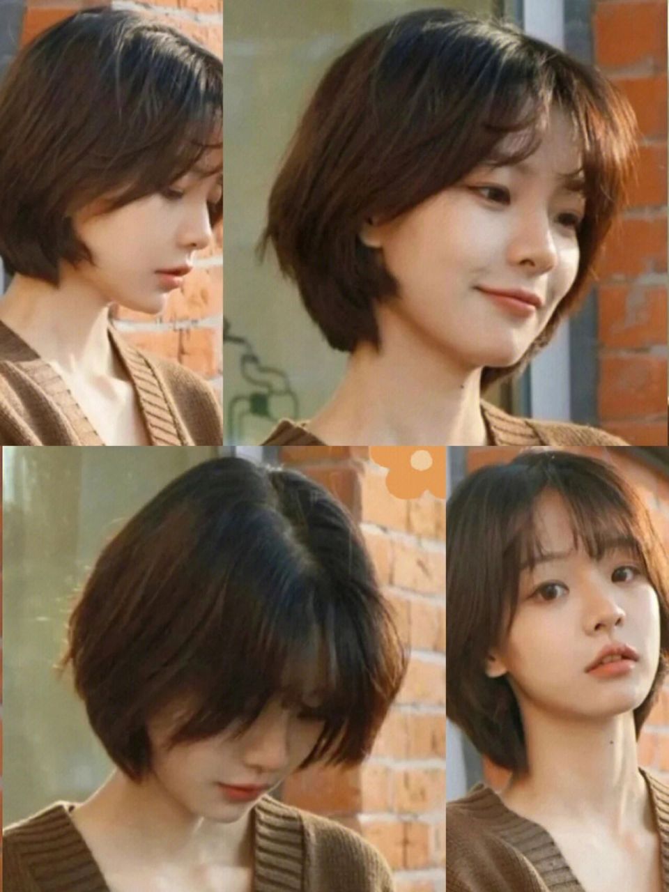 超符合今年流行的审美7815|减龄的挂耳短发 减龄挂耳短发,不挑小