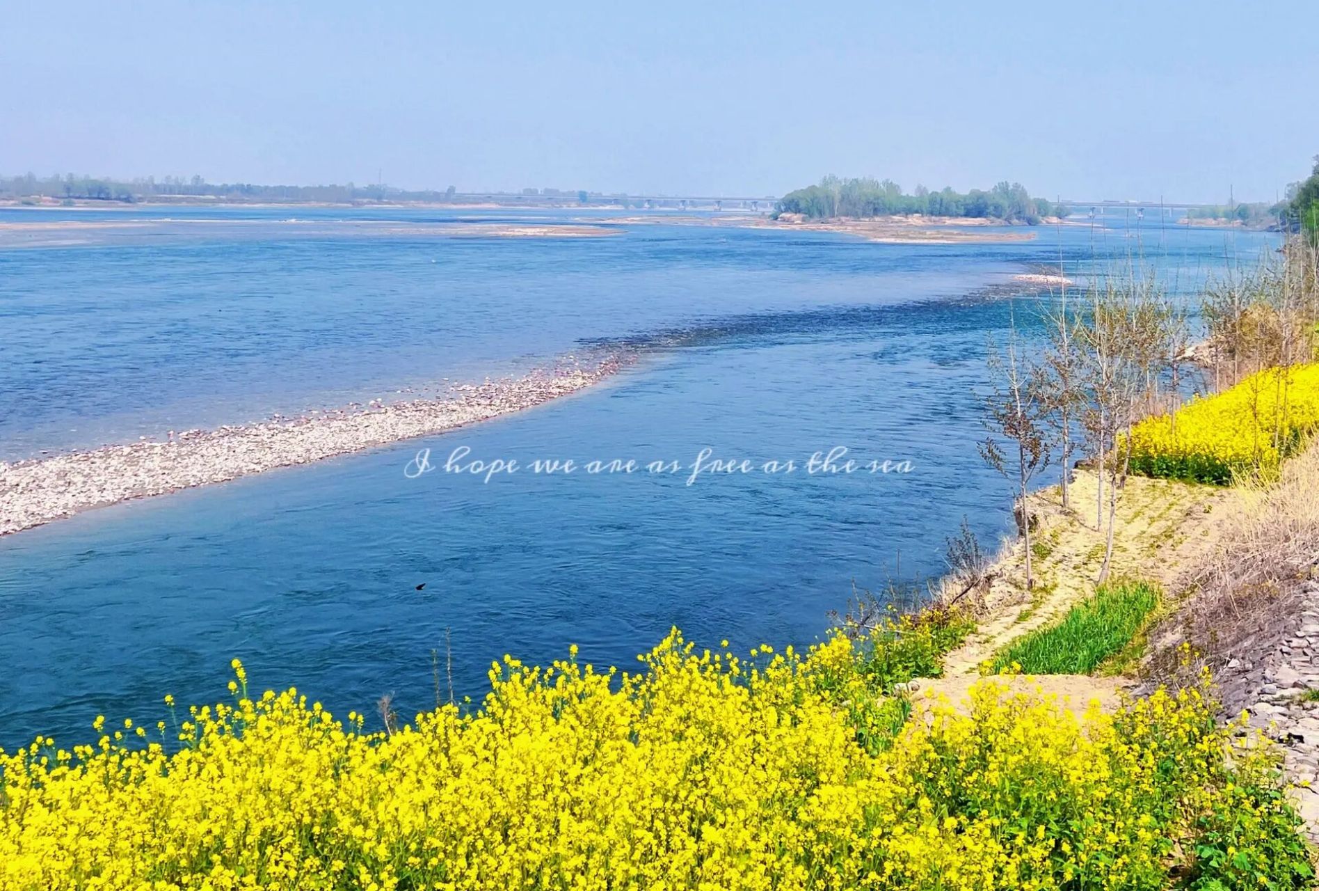 洛阳周末好去处:孟津黄河湿地公园 去孟津看风筝节,偶然路过的地方