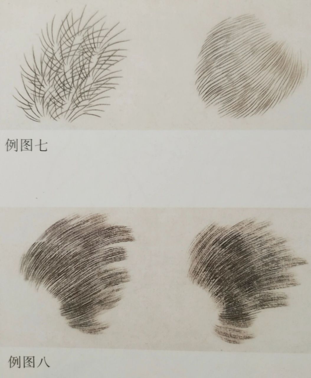 工笔画步骤分享(工笔禽鸟技法二) (二)羽毛的画法: 禽鸟羽毛的画法