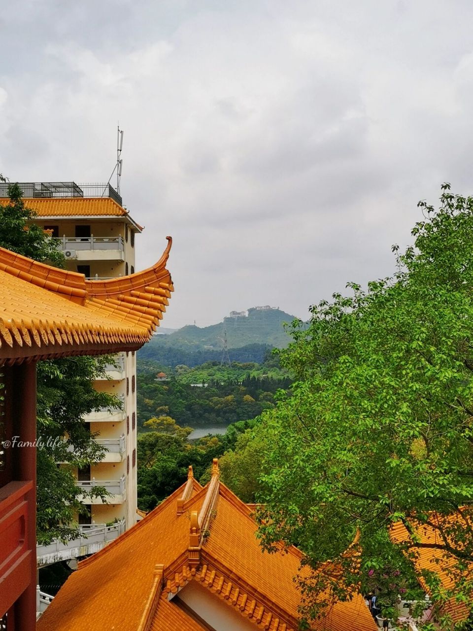 深圳寺庙弘法寺|生日开放日来上香拜佛祈福 今天生日 ,早起来弘法寺