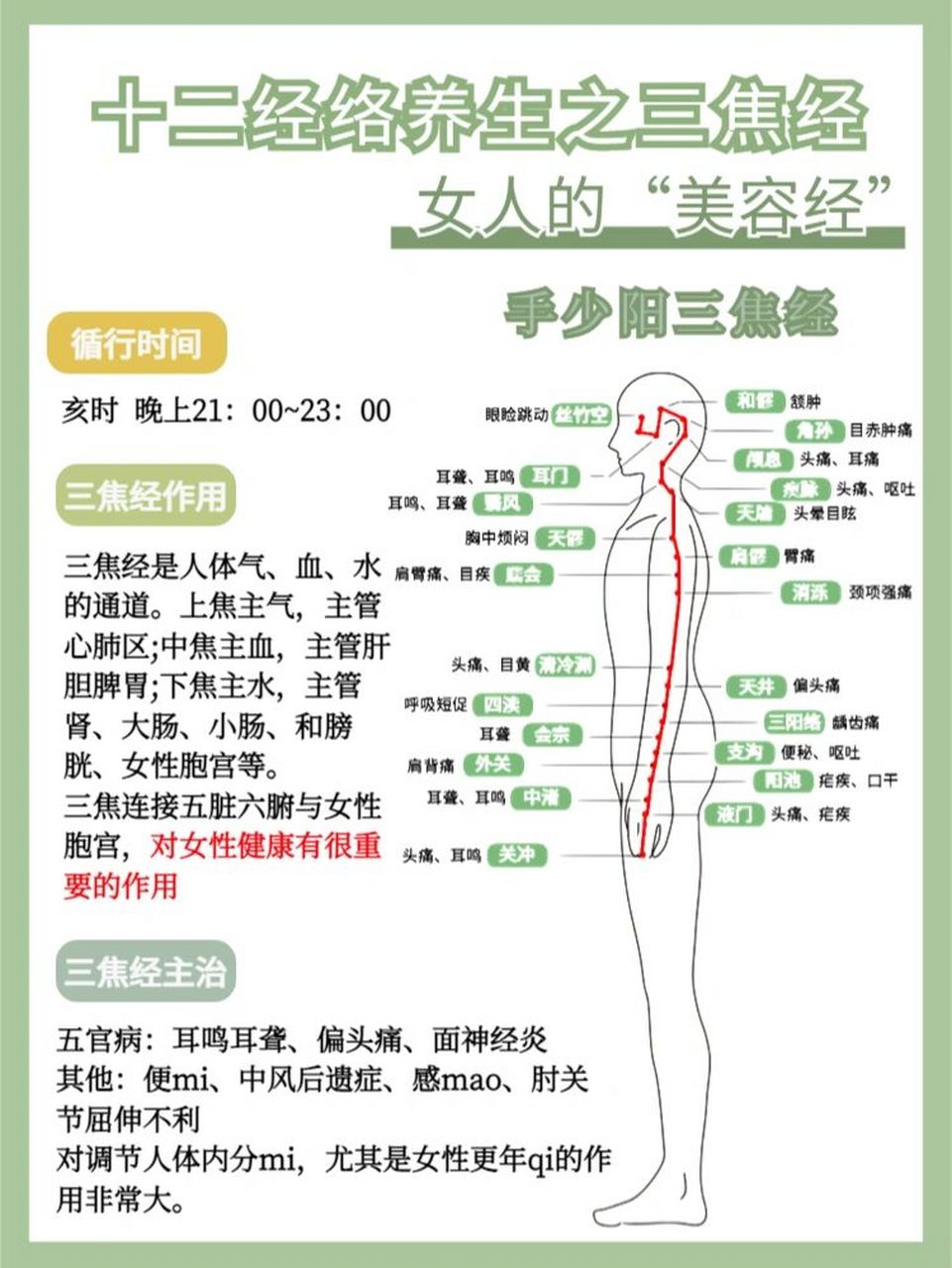 十二经络养生之三焦经|女人的"美容经" 94三焦经是人体气,血,水的