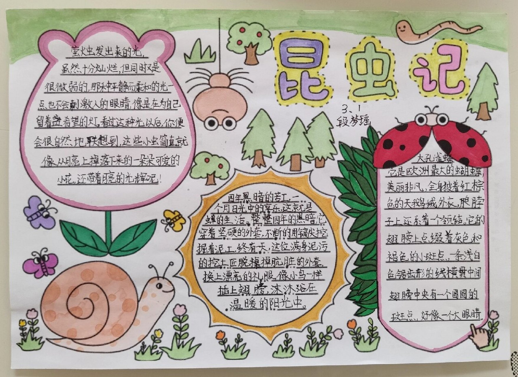 《昆虫记》读书小报