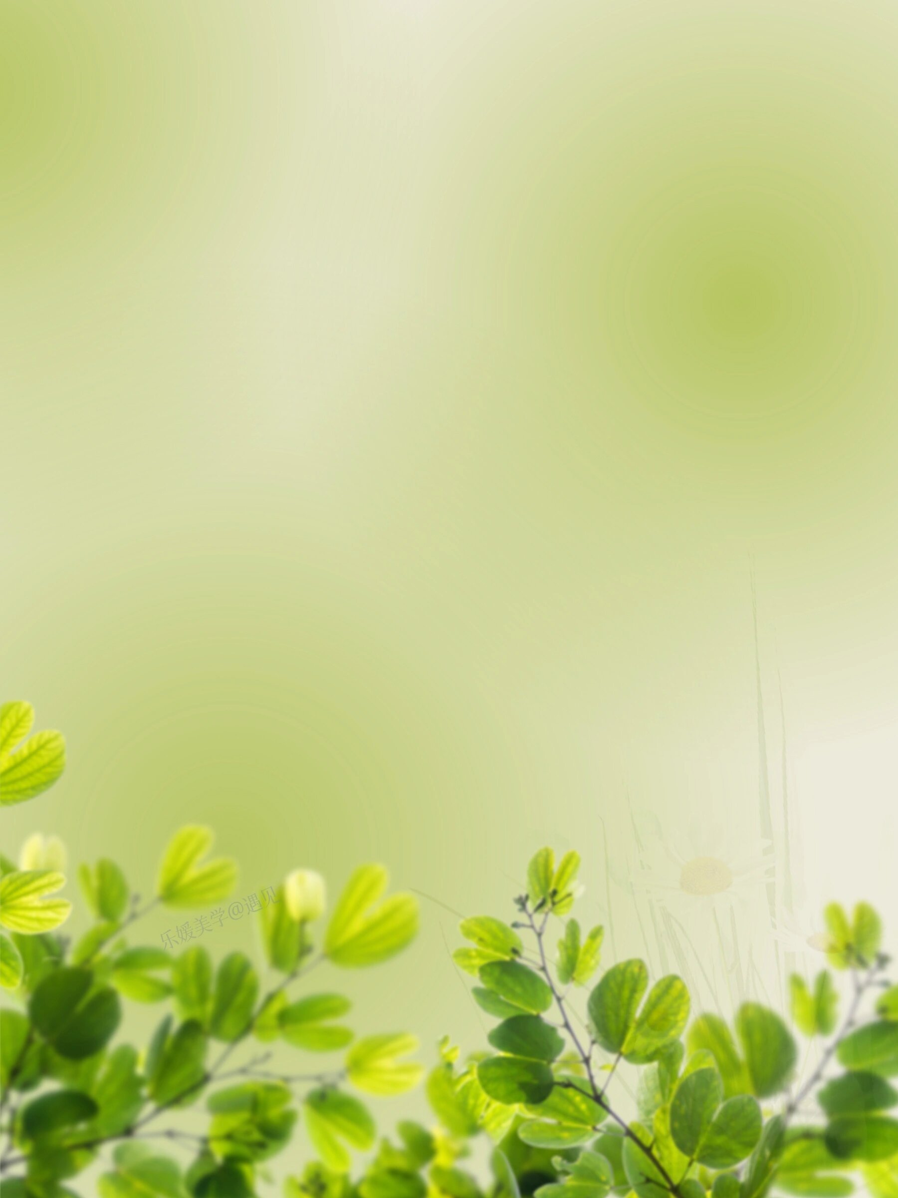 高级简约背景图底图|手机壁纸|  	 喜欢这种绿色 青青的 绿绿的 春天