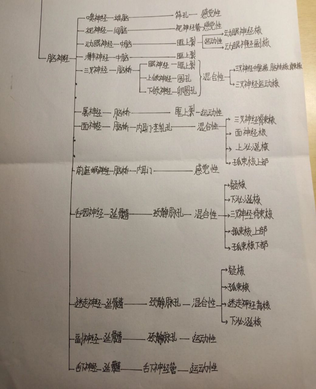 神经系统思维导图