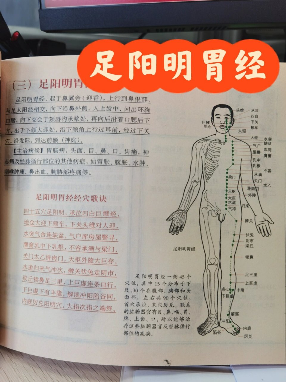 经络学习【足阳明胃经】 足阳明胃经是人体十二经脉之一.简称胃经.