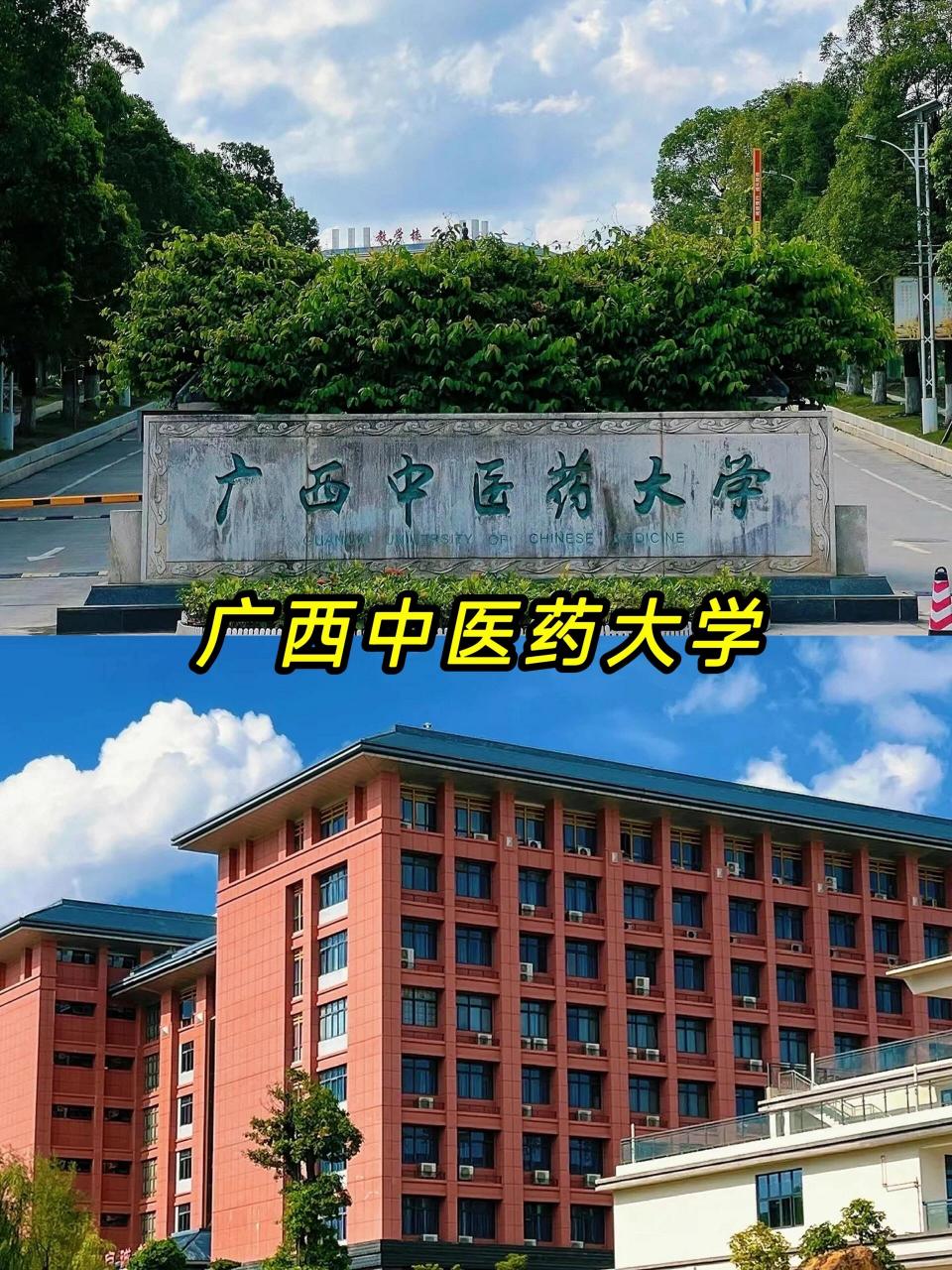 广西中医药大学照片图片