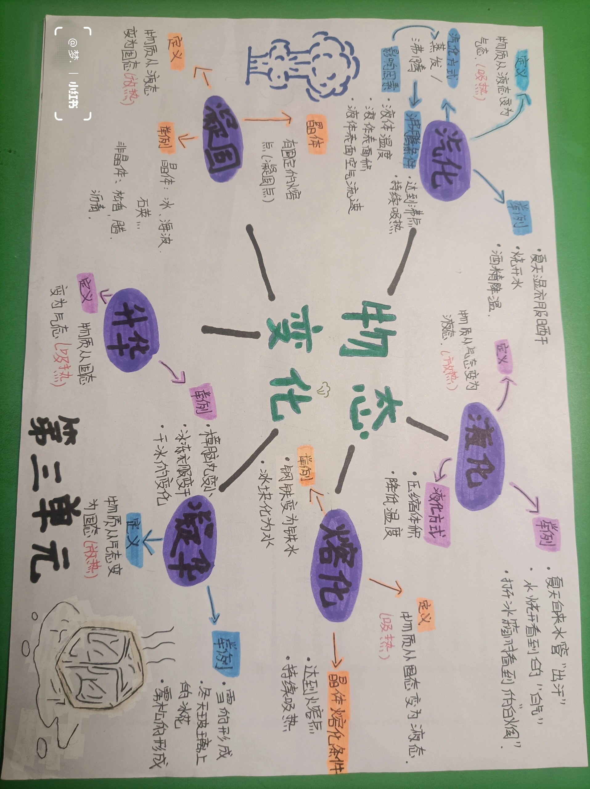 八年级上册物理第三单元思维导图