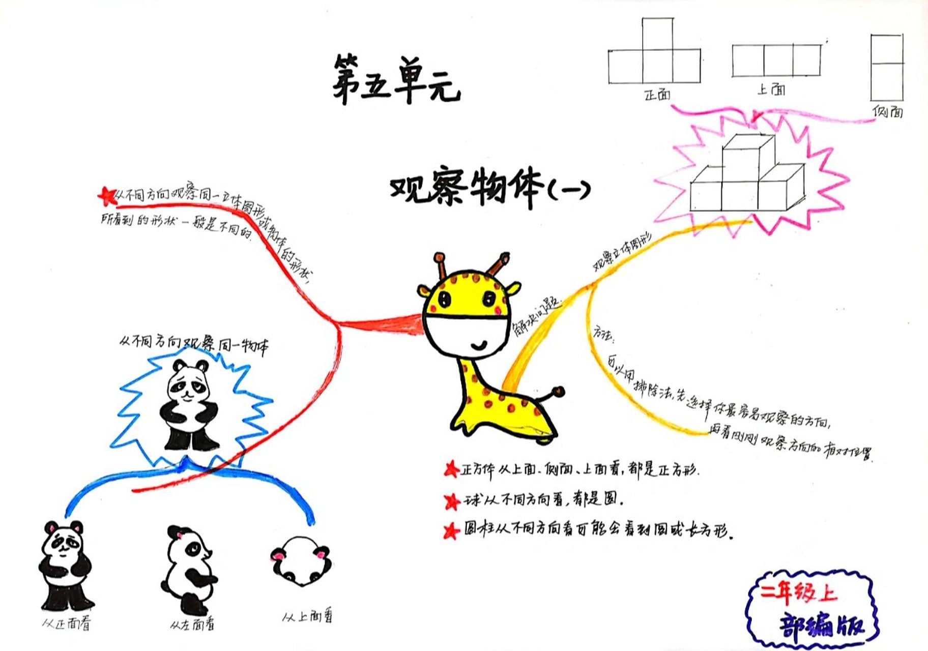 2年级思维导图怎么画图片