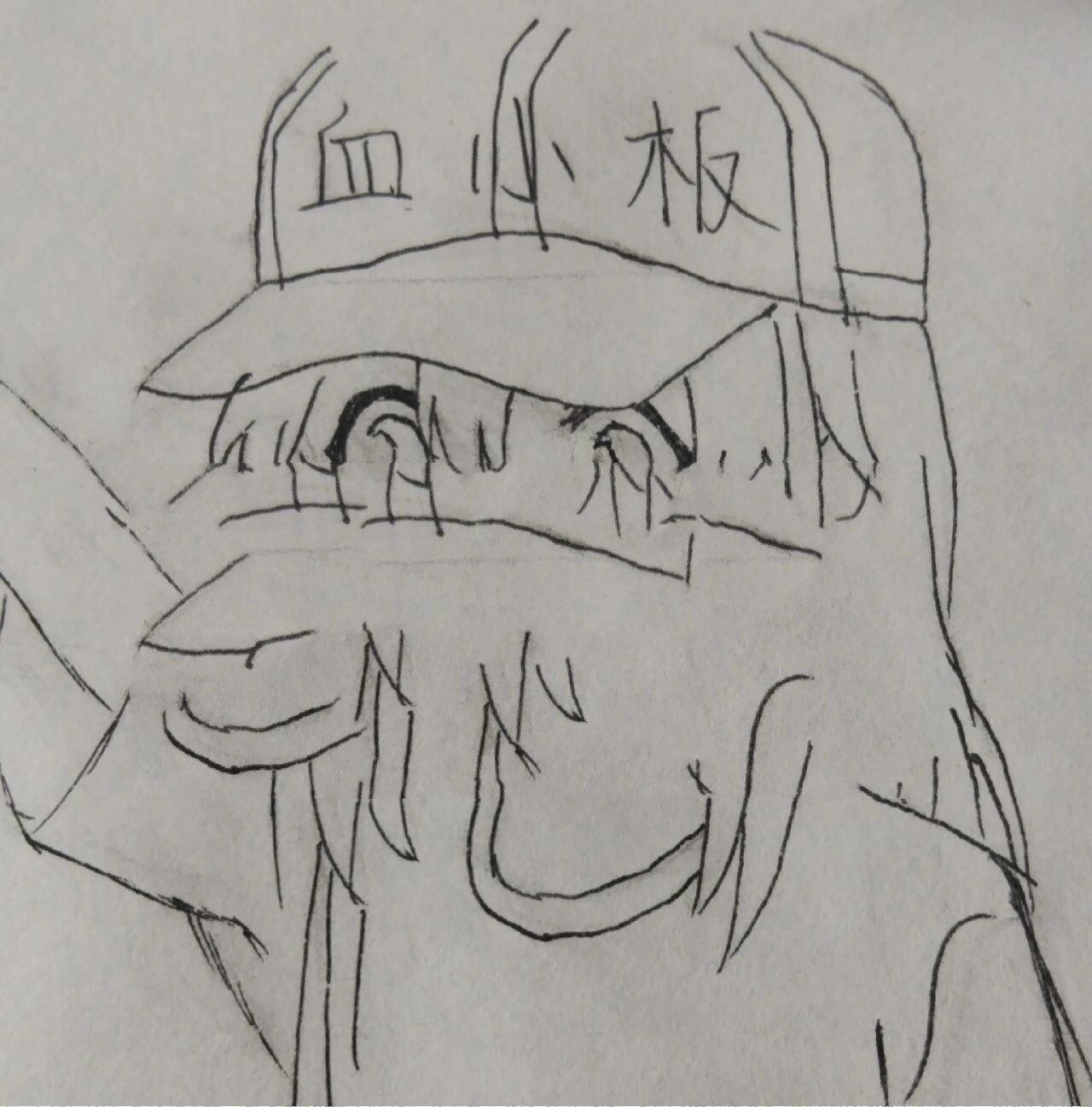 工作细胞血小板