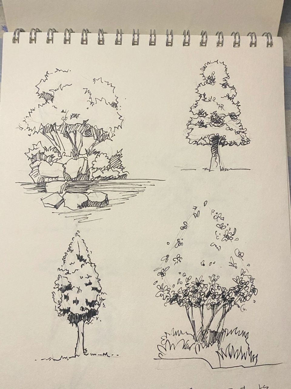 风景速写写生 树木98单体!接代画手绘!  树木单体