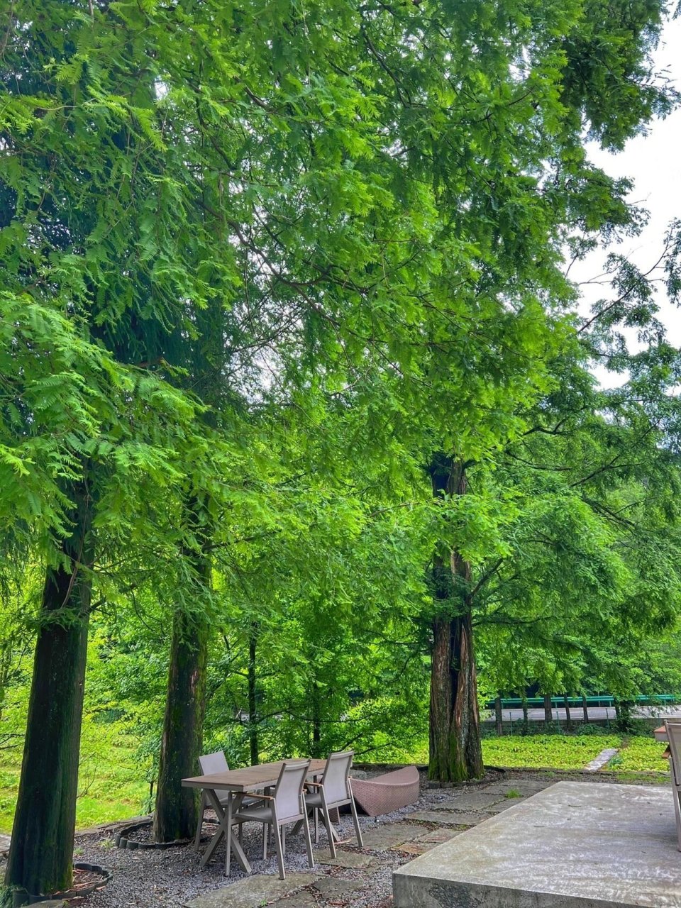 99周边度假Ⅱ山王坪的神仙民宿看过来97 山王坪的神仙民宿放大招