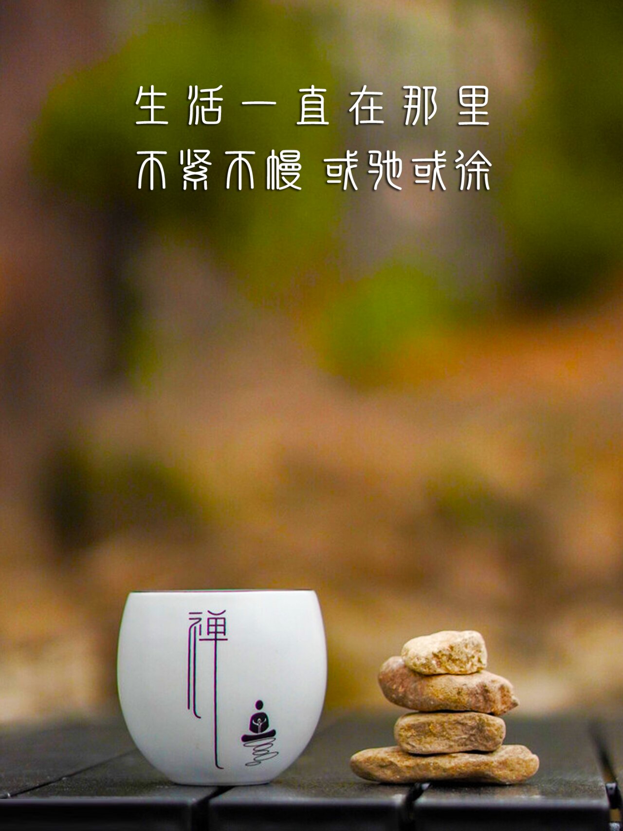 有品位有涵养的图片 时光荏苒,岁月如风,轻轻吹过每一个瞬间.