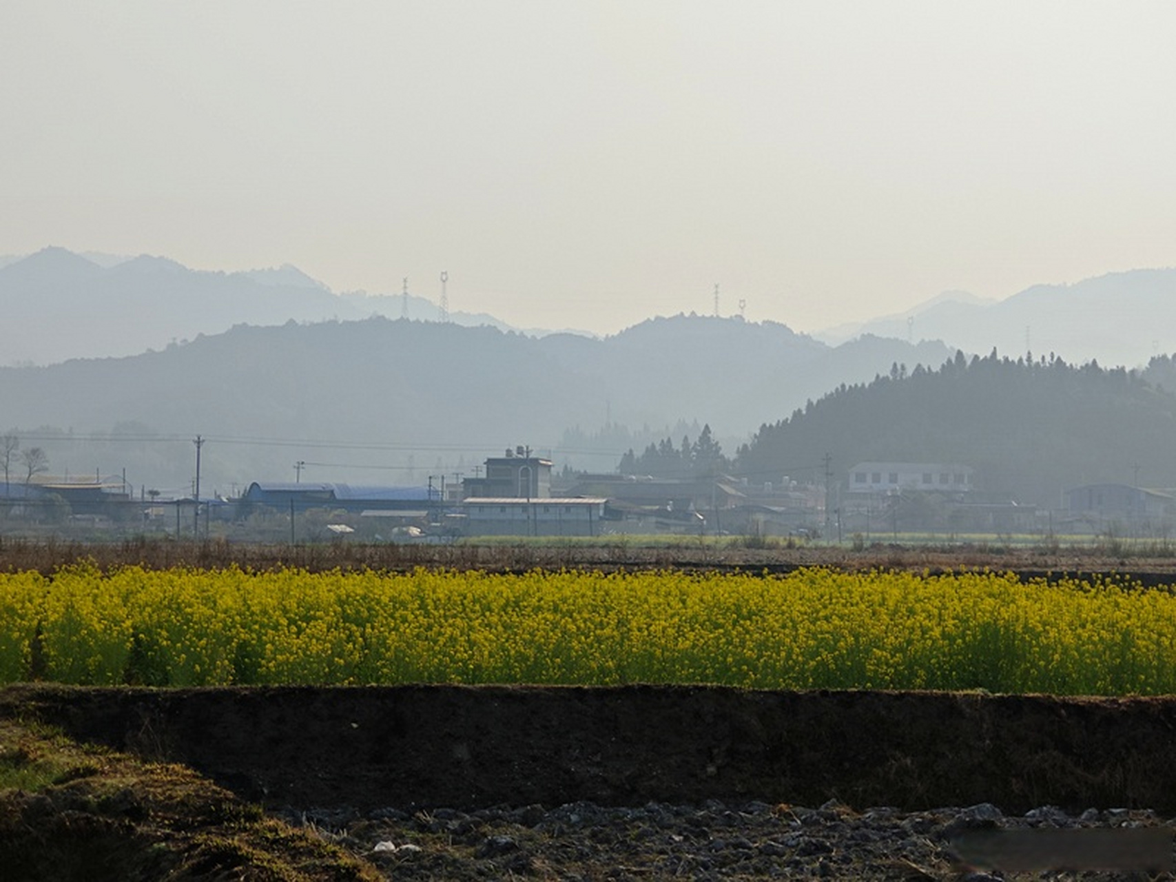 有一种叫云南的生活# 【云南腾冲猴桥镇:天上有云,林间有雾,人间是春