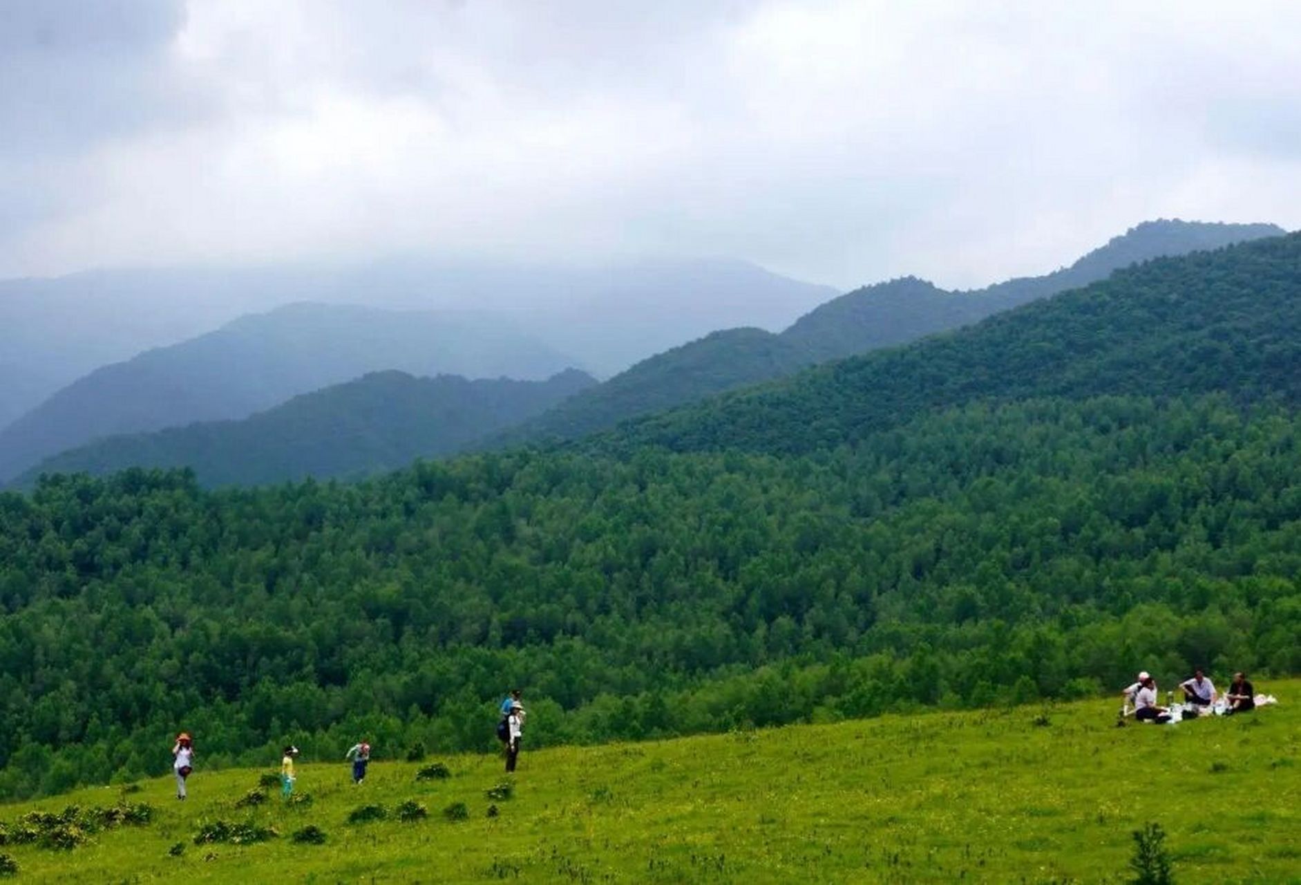 康乐县景点 康乐县 莲花山 竹子沟景区 药水峡森林公园 竹子沟 牡丹谷