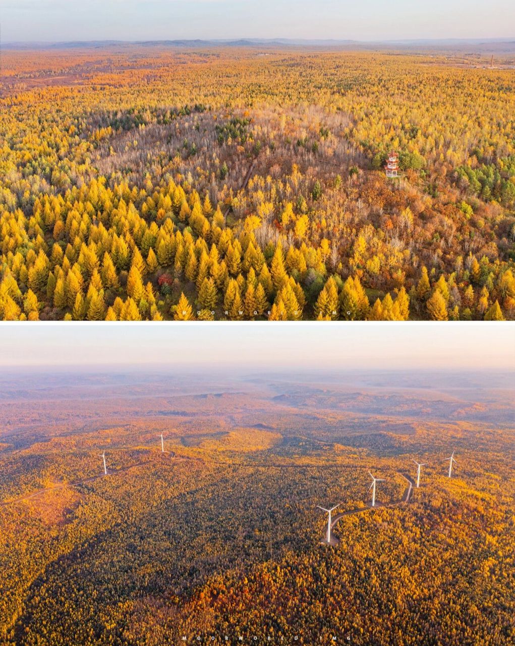 乌伊岭湿地公园 我在小兴安岭挖到宝藏湿地 这些相片拍摄于黑龙江伊春