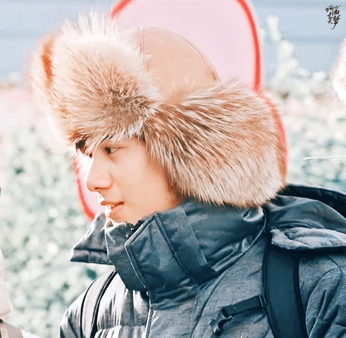 早安咪语#辛芷蕾胡先煦 好嗑一大清早就开嗑只会让我精神充沛 年下