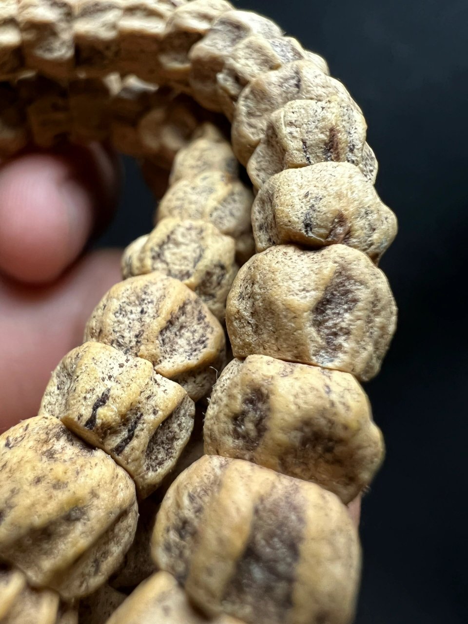 石人一只眼 半夜起来拍照,被自己之前拍的照片丑到睡不着