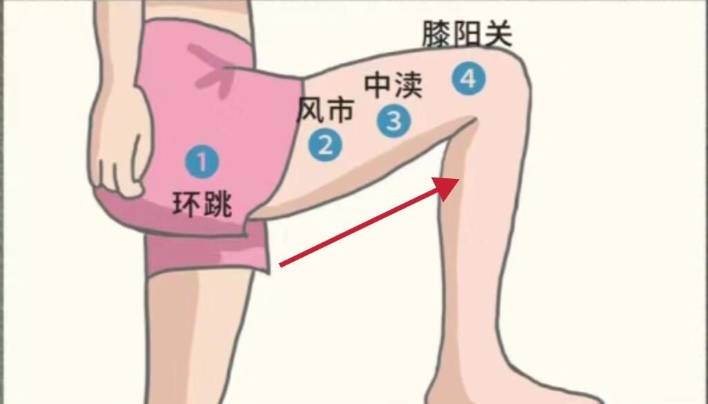 推肝经不疏肝 全网都在推推肝经疏肝 足厥阴肝经 顶多从大腿根