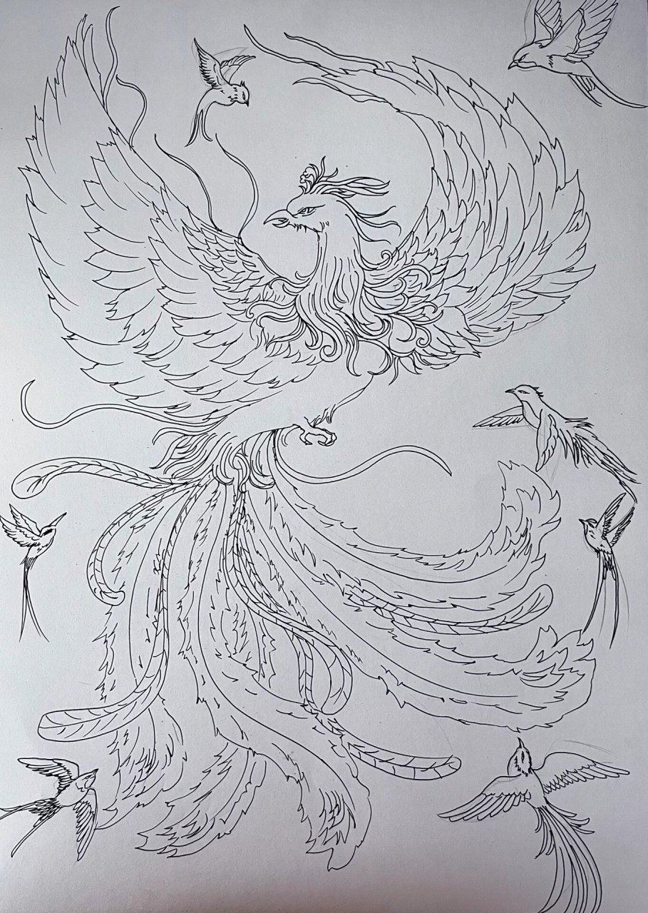 百鸟朝凤线稿 摸一幅百鸟朝凤,没画完,有人想看成品吗 有参考 #山海经