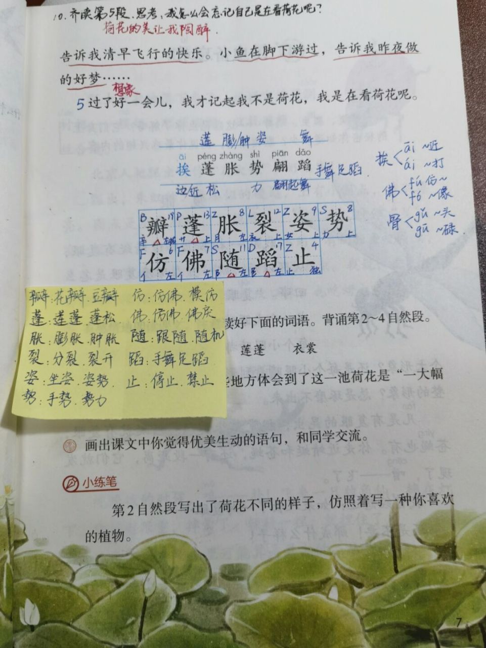 【备课笔记】三下语文《荷花》