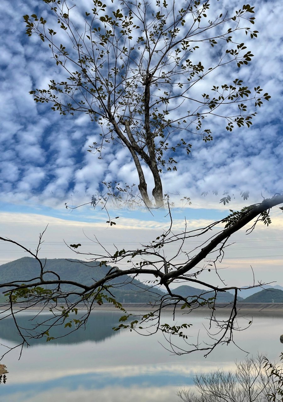 东莞清溪|半日游好去处——清溪湖(附路线图) 假期周边游我要推荐东莞