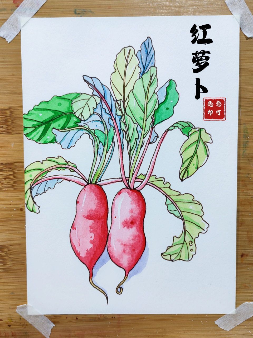 水彩手绘红萝卜