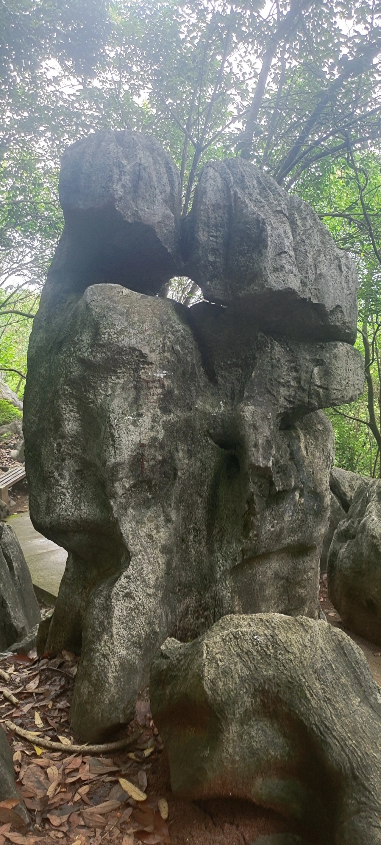 三衢石林风景区图片图片