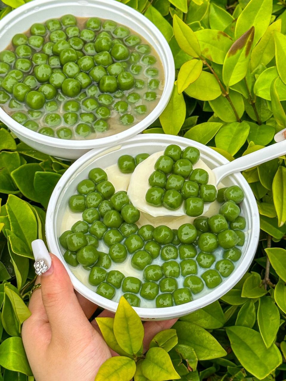 啊啊啊长沙终于也有了!小青团冰豆花!小小一个青团糯唧唧!