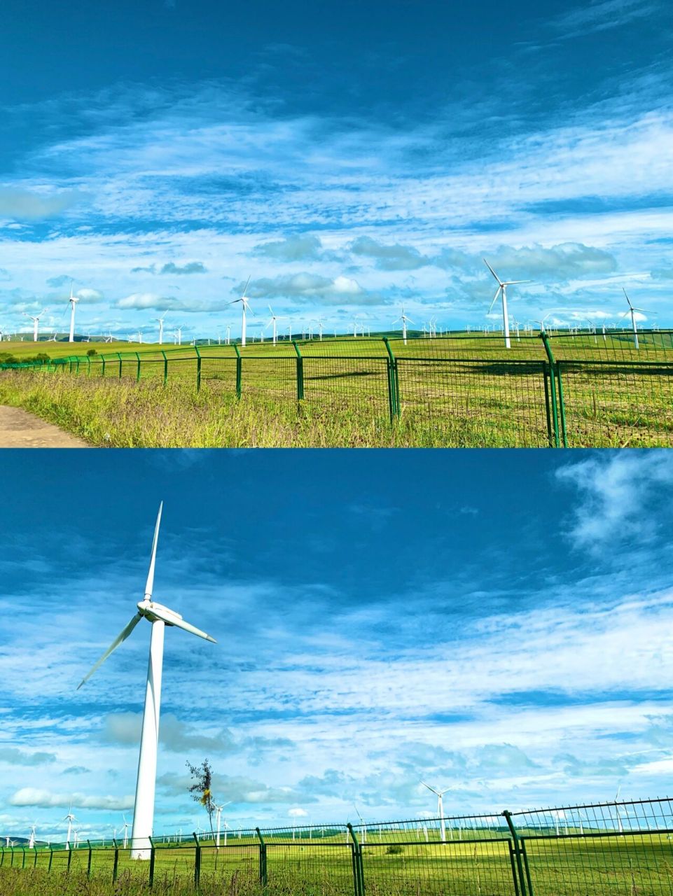 个人觉得红松洼是塞罕坝最值得去的地方了 	 很多攻略都说红松洼值得