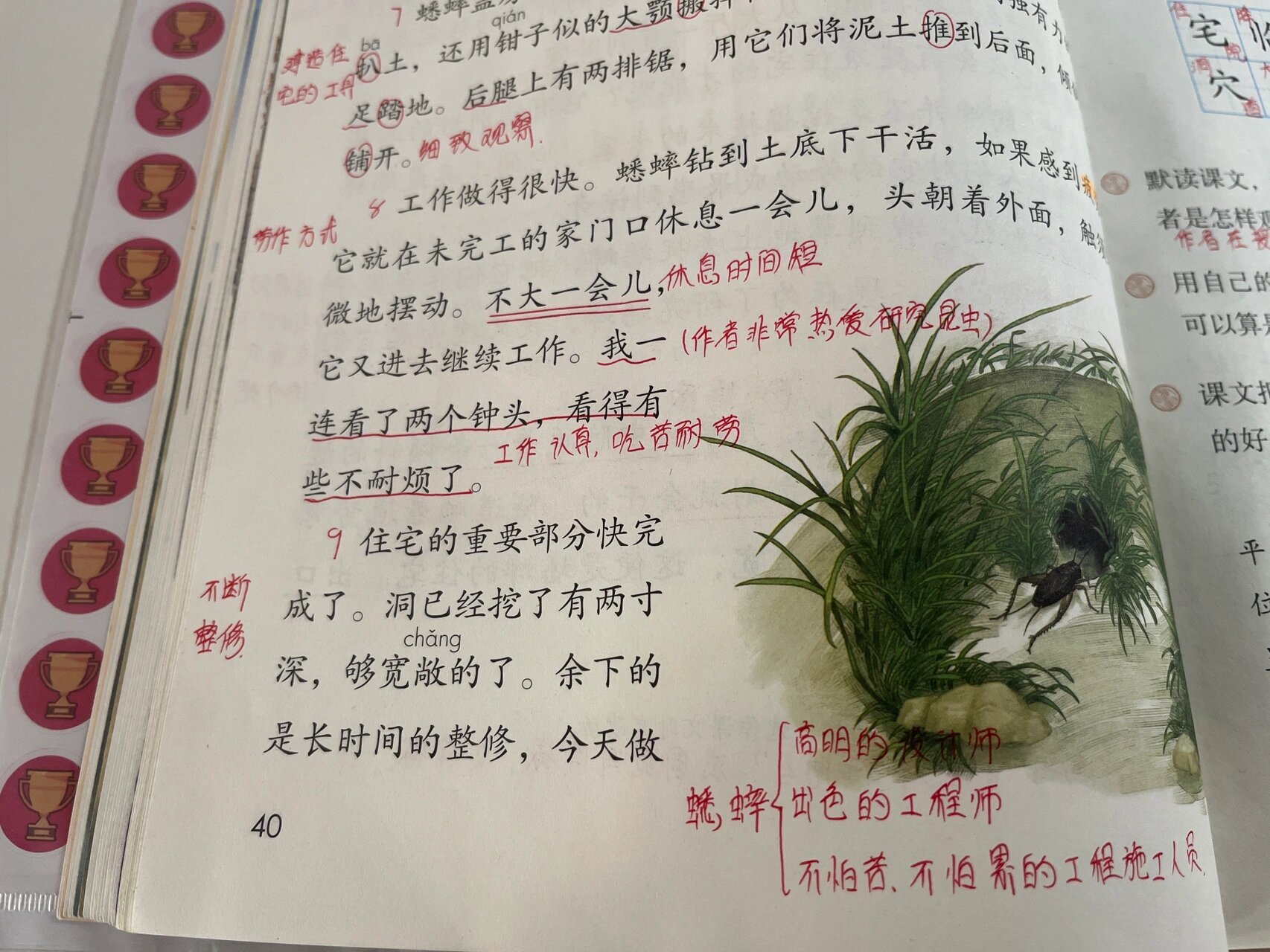 蟋蟀的住宅生字图片