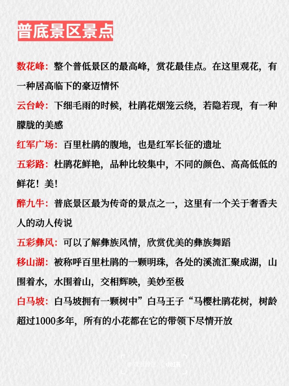 徜徉花海-百里杜鹃超全旅游攻略  这个春天总要去一趟来百里杜鹃,去