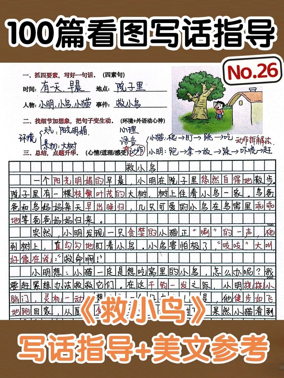 一二年级《救小鸟》看图写话指导 参考范文 一二年级看图写话指导《救