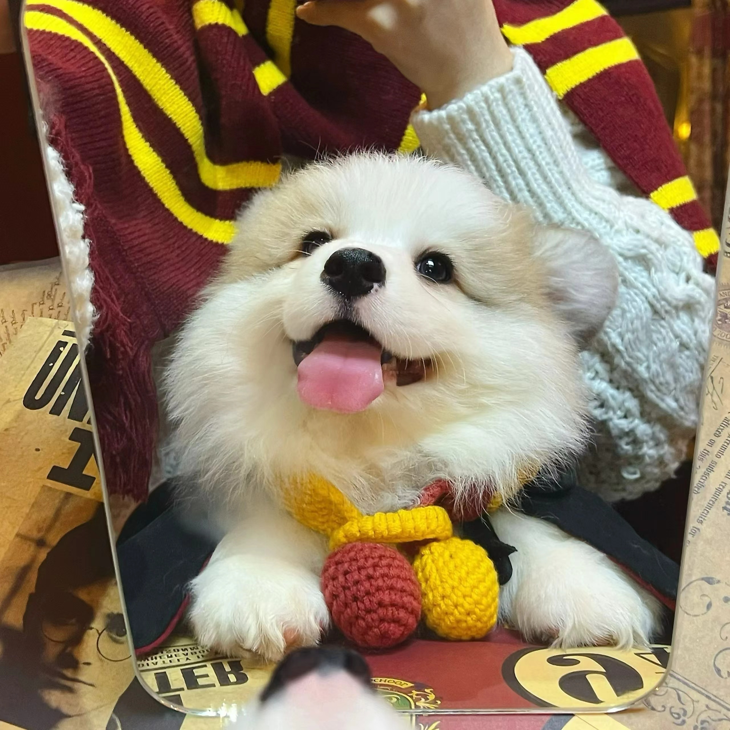 小动物头像 嘿!