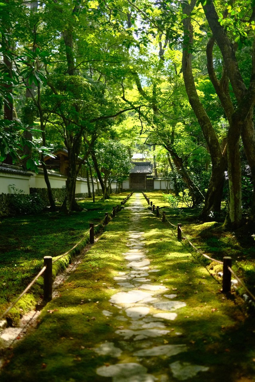 日本西芳寺图片