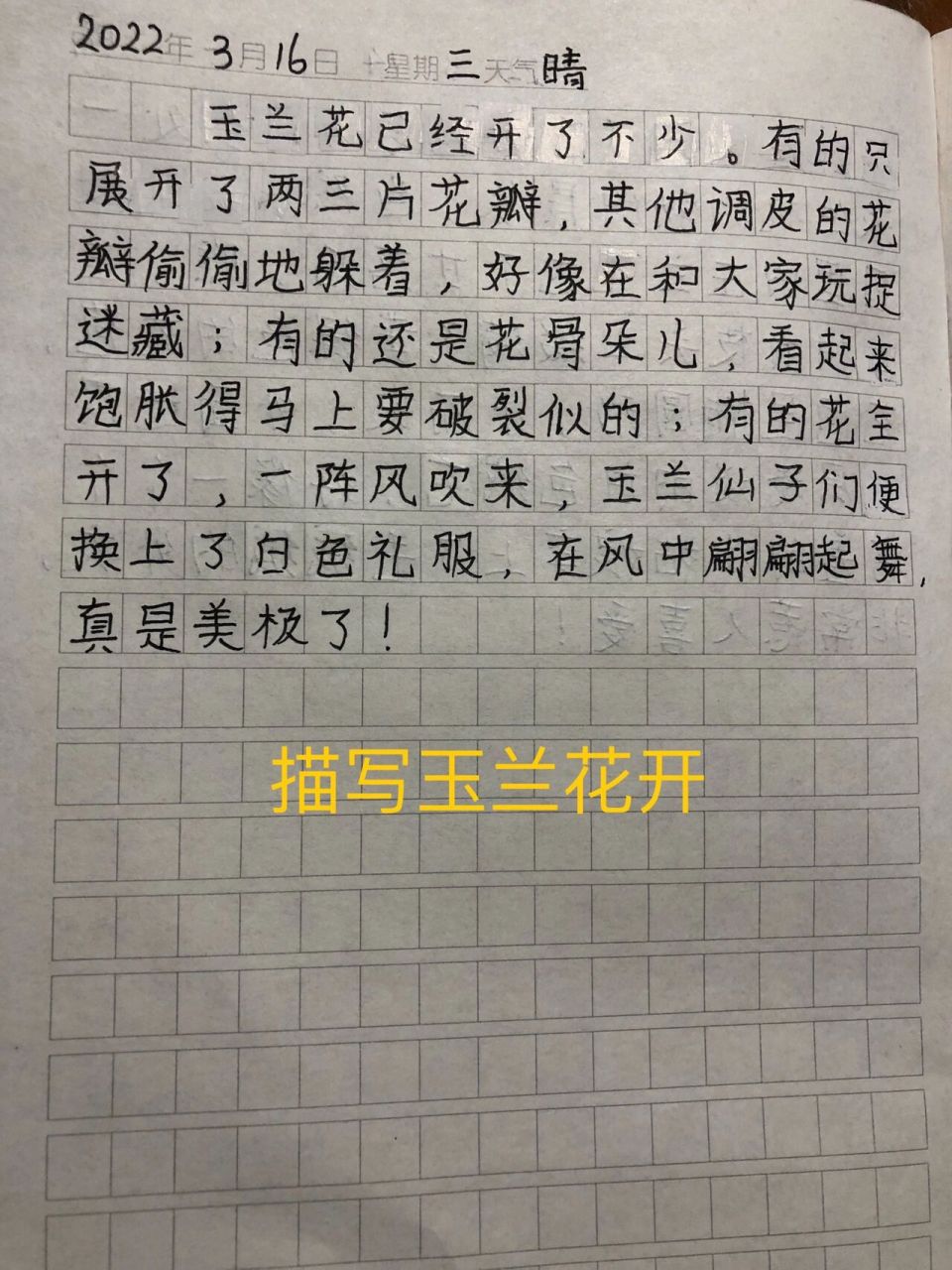 描写白玉兰图片