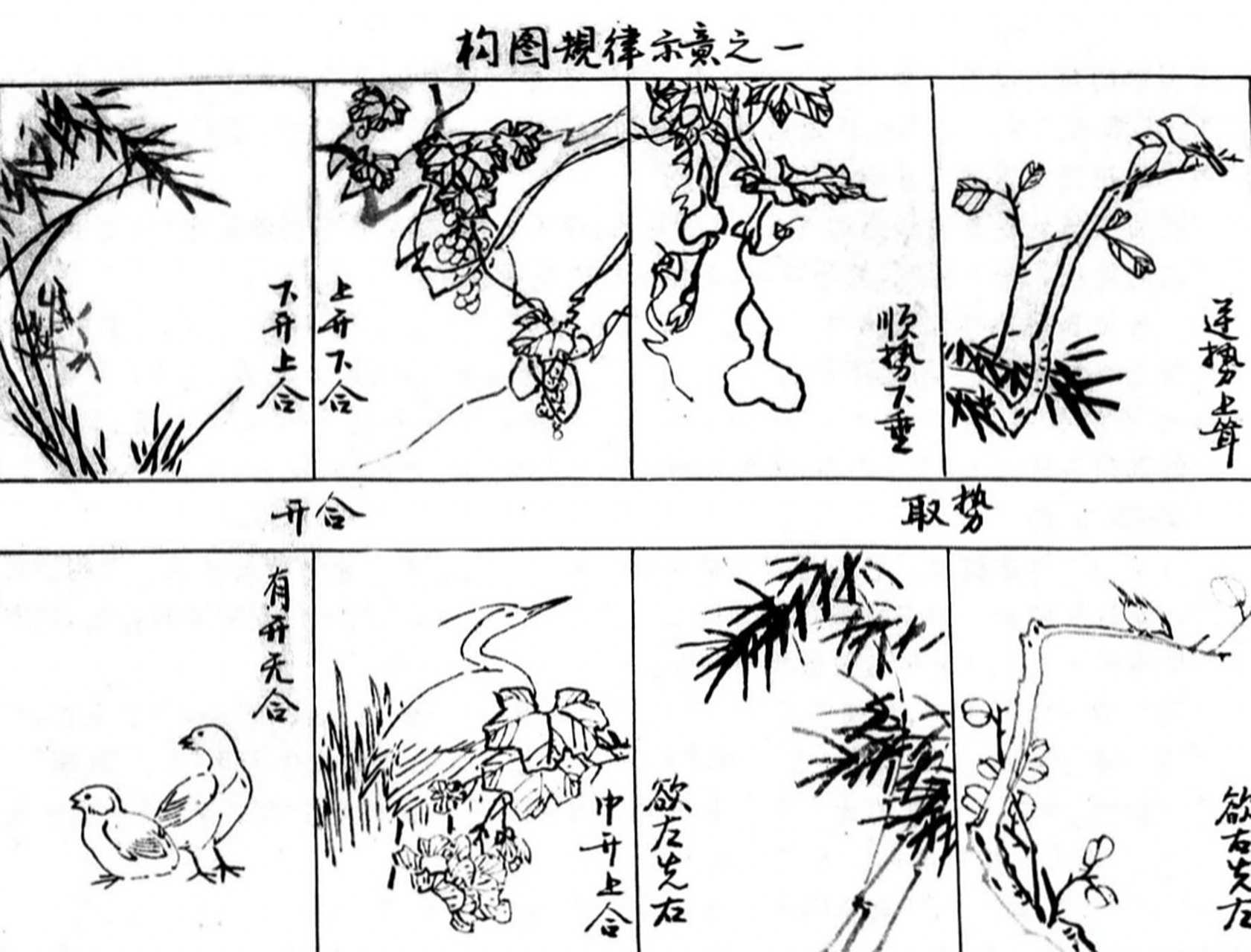 国画花鸟画构图图示总结 构图的规律 1.