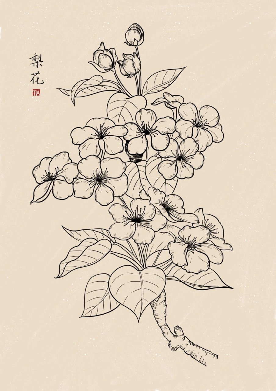 47|花卉线描|梨花 《东栏梨花》宋.