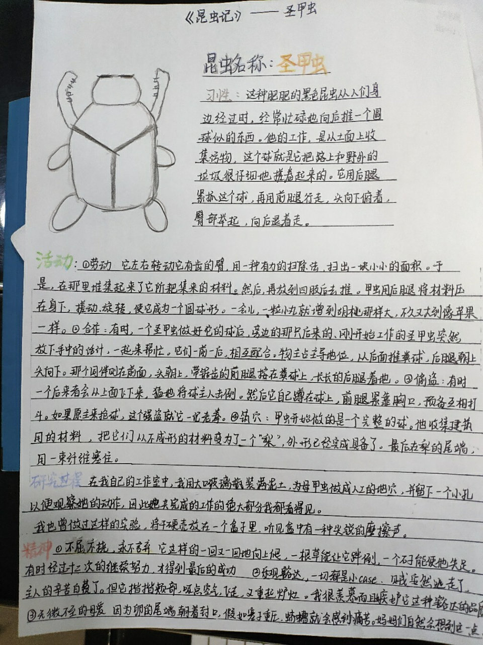 《昆虫记》圣甲虫.