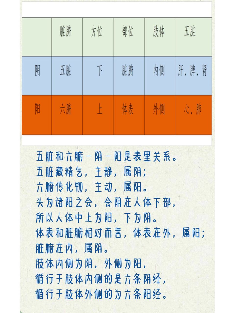 头为诸阳之会,会阴在人体下部,所以人体中上为阳,下为阴.